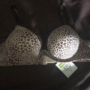 NWT CK push up bra